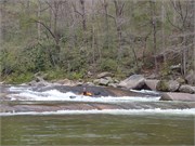 Wilsons Creek 26